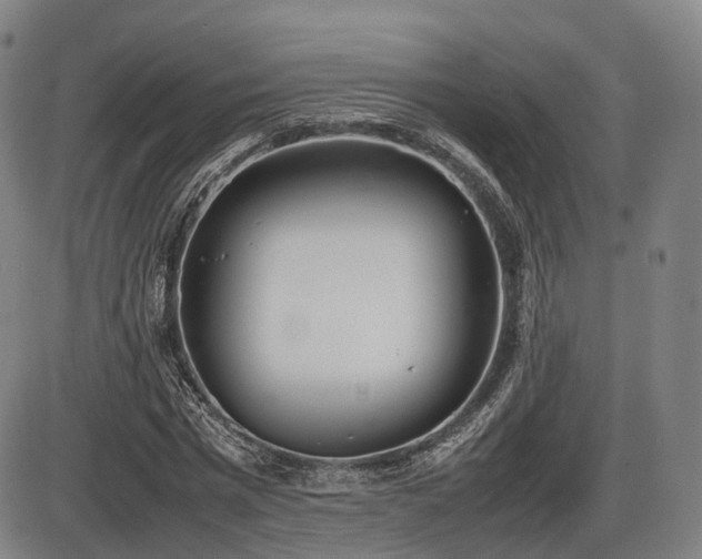 X0000086330777200703301229