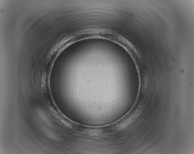 X0000086330778200703301229
