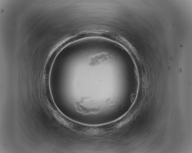 X0000086330779200703301229