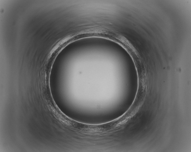 X0000086330781200703301229
