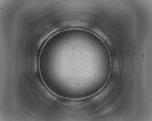 X0000086330782200703301229