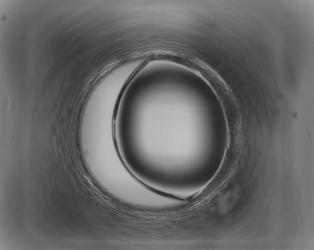 X0000086330785200703301229