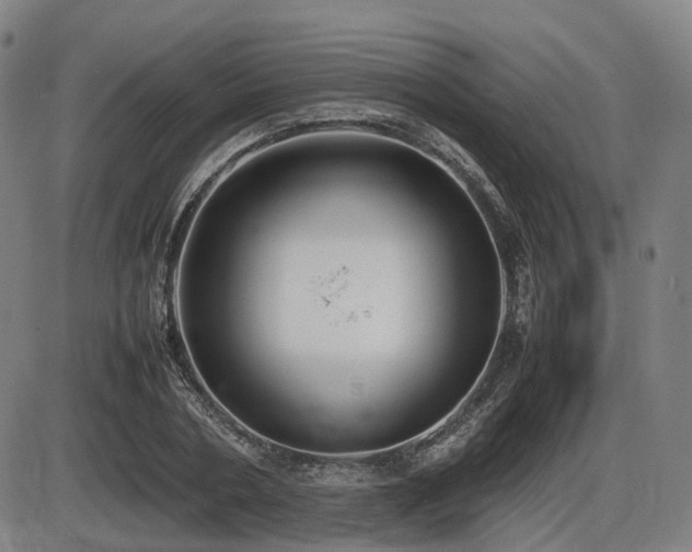 X0000086330786200703301229