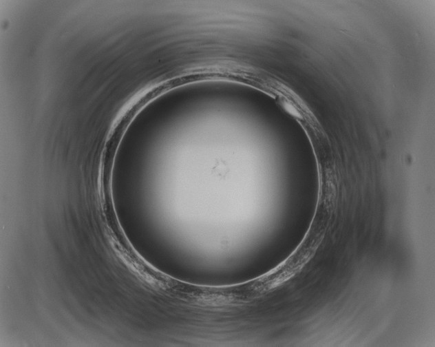X0000086330788200703301229