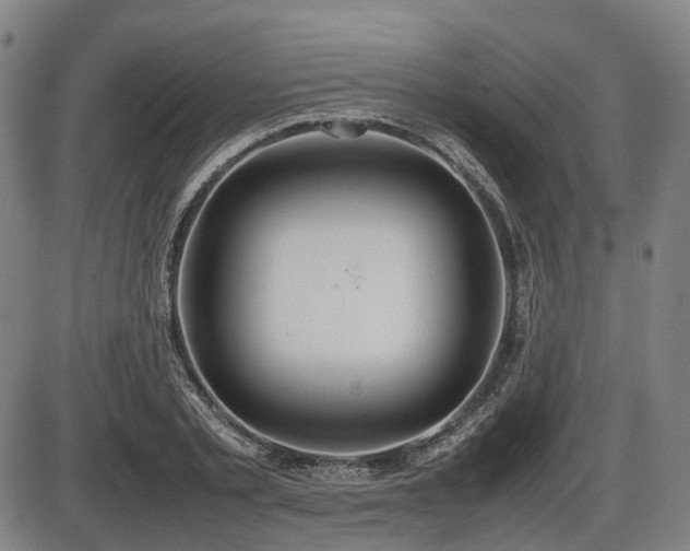 X0000086330789200703301229