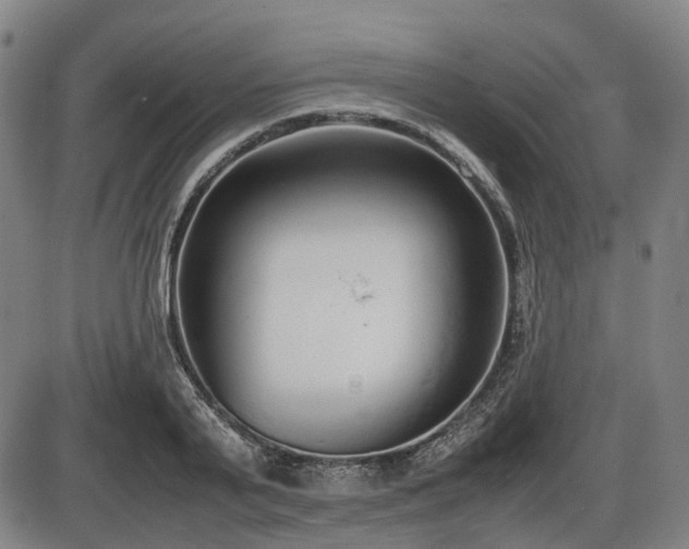 X0000086330791200703301229
