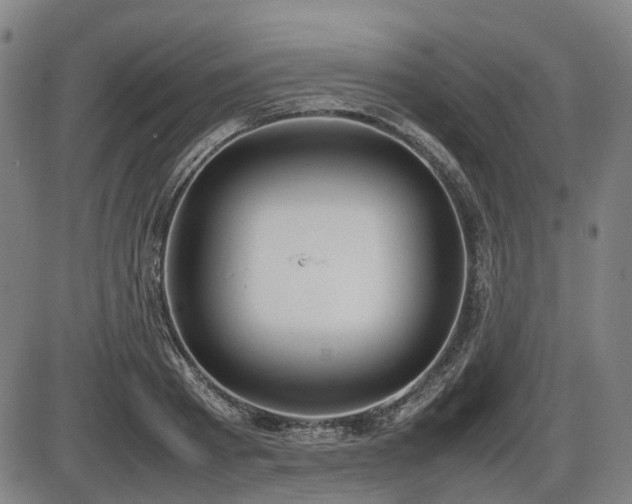 X0000086330793200703301229