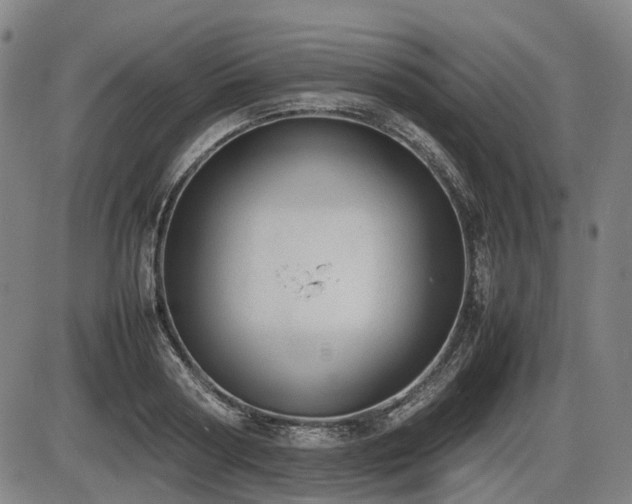 X0000086330794200703301228