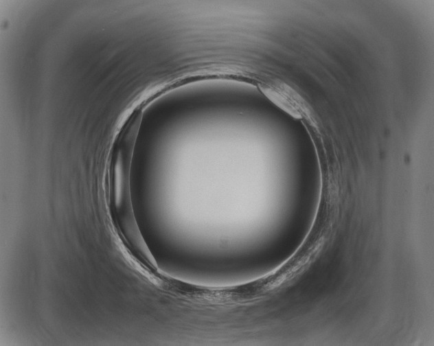 X0000086330797200703301228