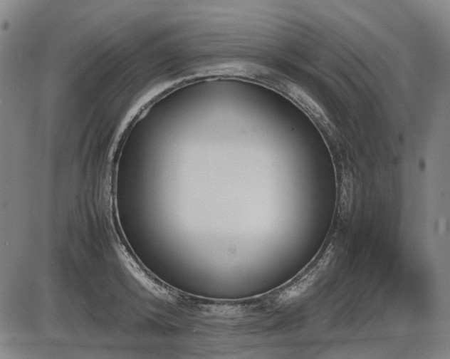 X0000086330800200703301228