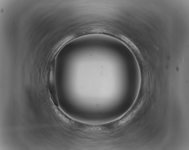 X0000086330801200703301228