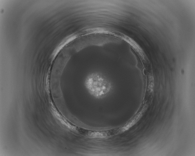 X0000086330806200703301228
