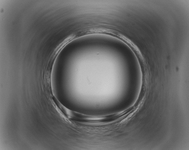 X0000086330809200703301228