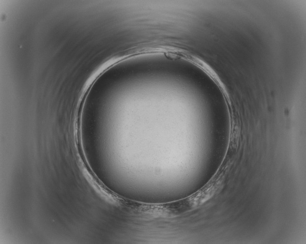 X0000086330811200703301228