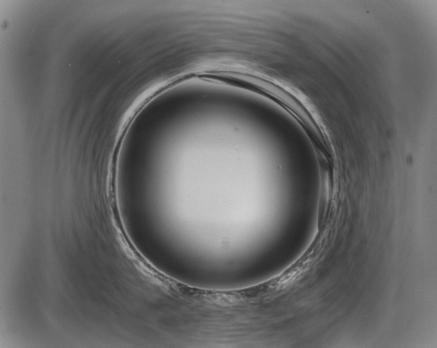 X0000086330815200703301228