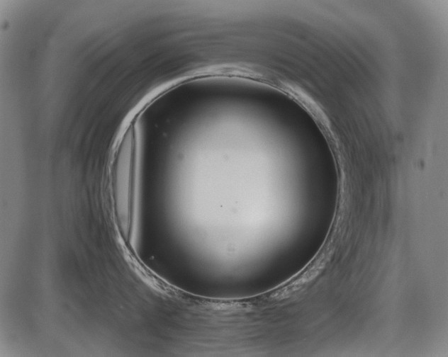 X0000086330816200703301228