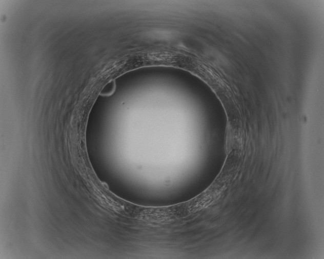 X0000086330817200703301227