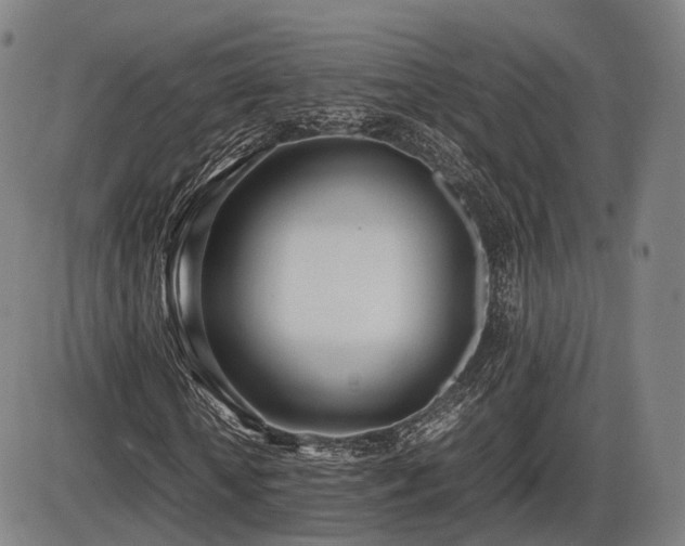 X0000086330818200703301227