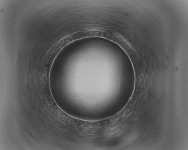 X0000086330821200703301227