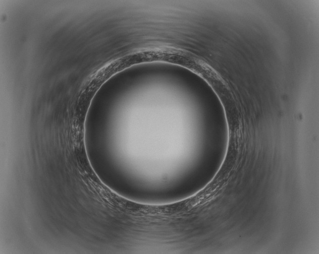 X0000086330822200703301227