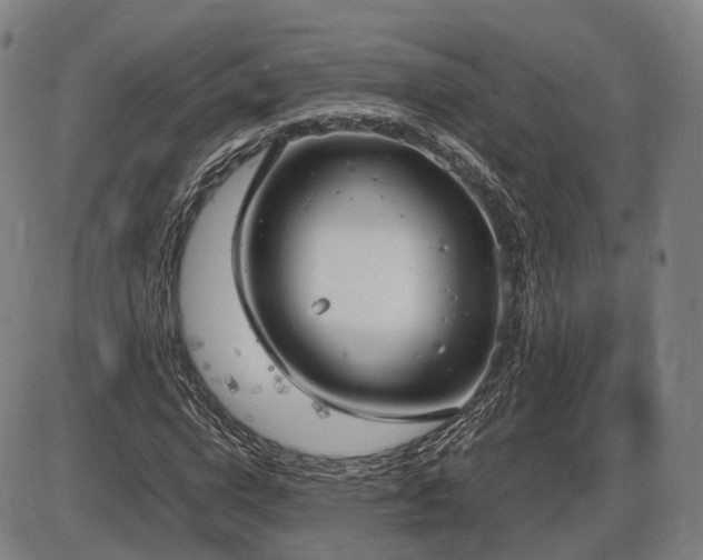 X0000086330824200703301227