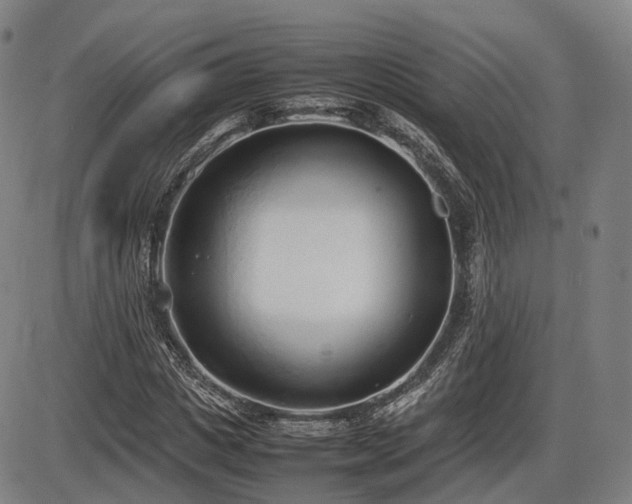 X0000086330825200703301227