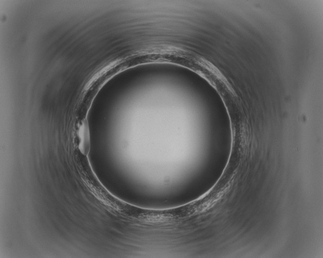 X0000086330826200703301227