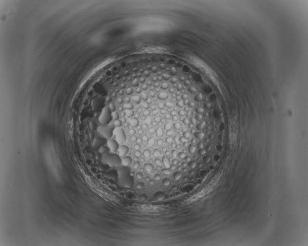 X0000086330827200703301227