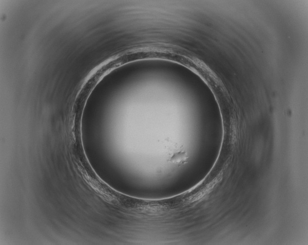 X0000086330830200703301228