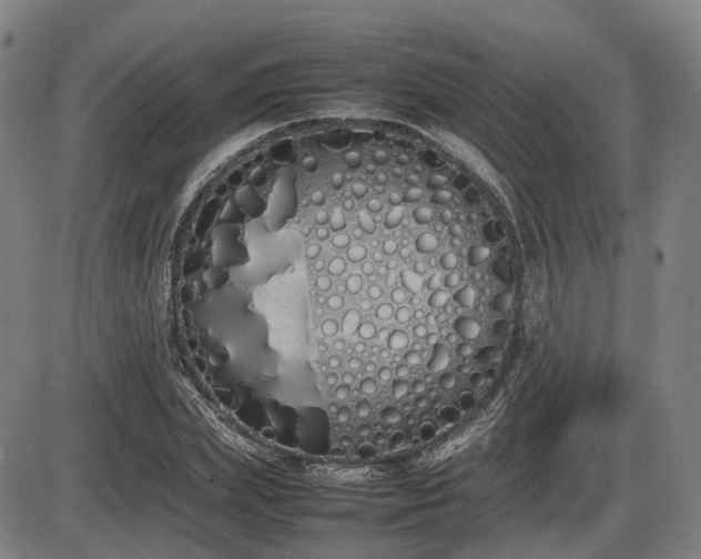 X0000086330831200703301228