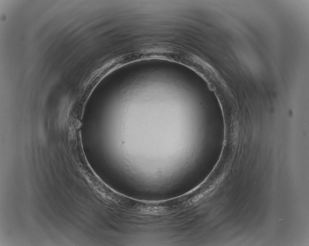 X0000086330833200703301228