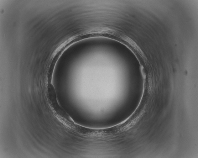 X0000086330834200703301228