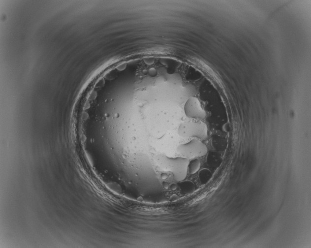X0000086330835200703301228