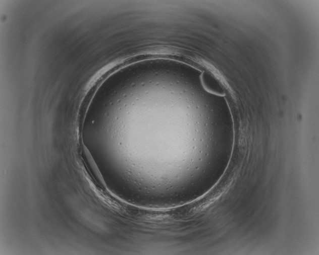 X0000086330837200703301228