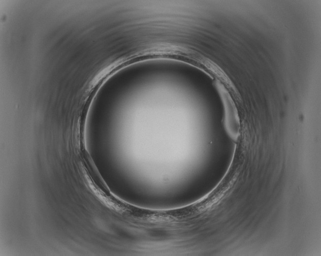 X0000086330842200703301228