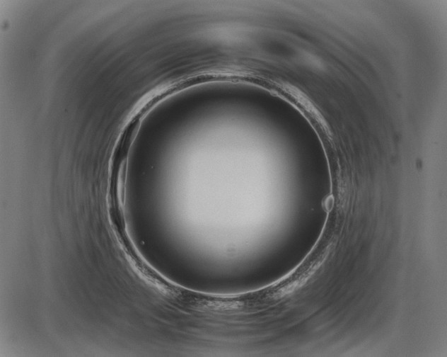 X0000086330845200703301228