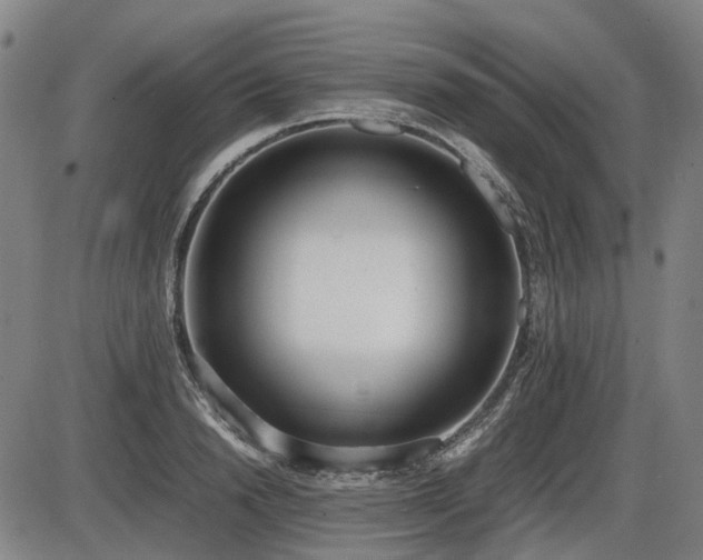 X0000086330846200703301228