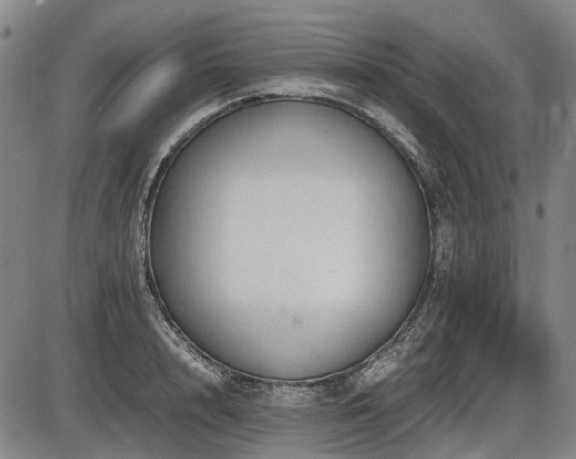 X0000086330848200703301228