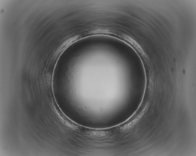 X0000086330849200703301228