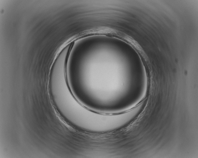 X0000086330850200703301228