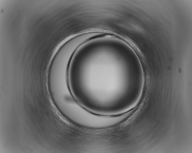 X0000086330854200703301228
