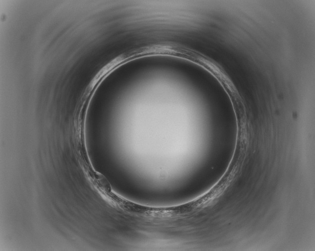 X0000086330858200703301228