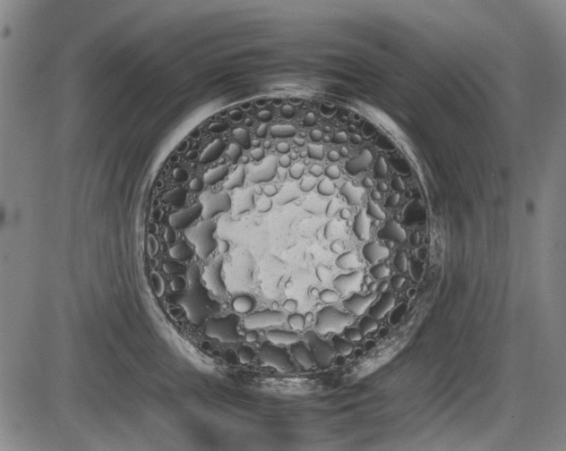 X0000086330859200703301228
