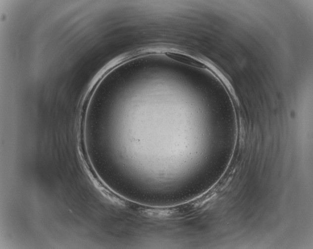 X0000086330861200703301228