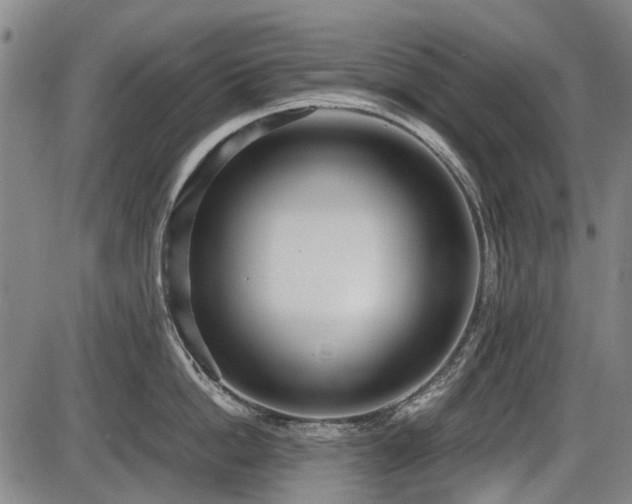 X0000086330862200703301228
