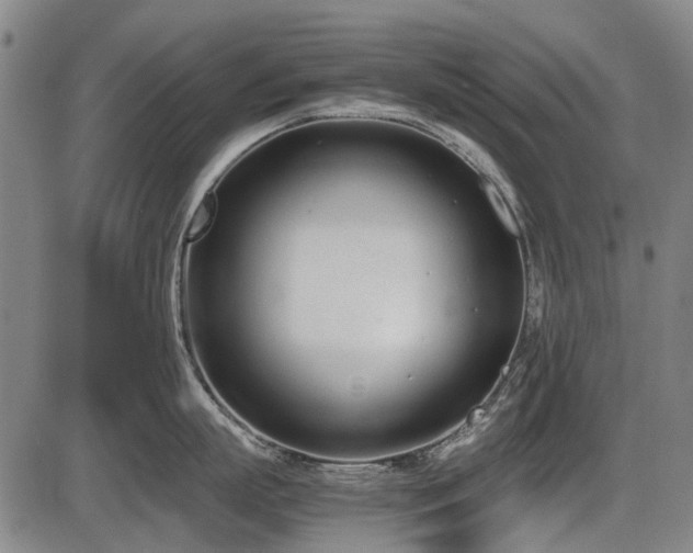 X0000086330863200703301228