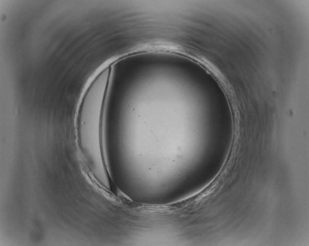 X0000086330864200703301228