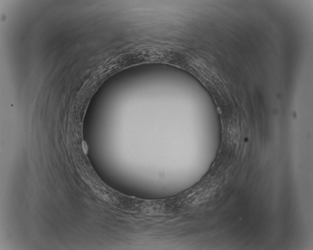 X0000086330865200703301227