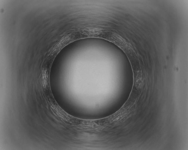 X0000086330866200703301227