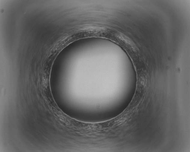 X0000086330869200703301227